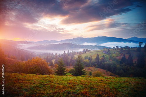 Fototapete - Impressive evening countryside landscape with morning mist. Carpathian mountains, Ukraine, Europe.