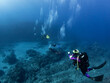 Divers and deep seascape of Reunion island