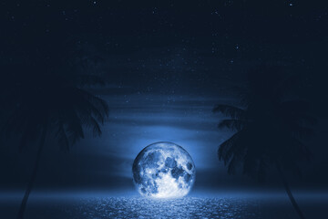 Wall Mural - night sea and palm tree