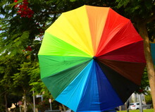 Bright Colored Rainbow Umbrella In The Rain In The Park/ Multi-colored Colorful Umbrella With All Colors Of The Rainbow With Raindrops. 