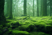 Green Mossy Forest