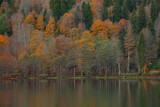 Fototapeta  - Autumn Colors in the Borcka Karagol Lake, Borcka Artvin, Turkey