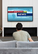 © Vitaliy - Back view on excited man sitting on the couch and watching breaking news on tv at home