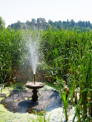 Wall Mural - old water fountain between bulrushes on shore of lake on sunny summer day near Raifa Bogoroditsky Monastery, Russia