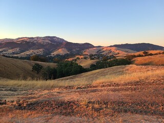 Wall Mural - Golden hills of the Diablo Range at sunset in Northern California