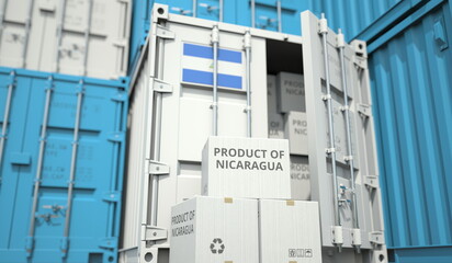 Wall Mural - Cardboard boxes with goods from Nicaragua and cargo containers. Industry and logistics related conceptual 3D rendering