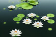 3D illustration white lotus flower pad in pond isolated on blur background. Loy krathong concept.