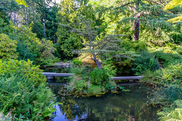 Wall Mural - Seattle Gardens Pond