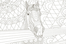 Zentangle Stylized Horse Antistress Coloring Page For Adults In Black And White Style For Print, Hand Drawn Sketch For T-shirt Emblem, Logo Or Tattoo With Doodle