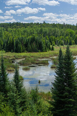 Wall Mural - beautiful overlook of pond blue sky and clouds
