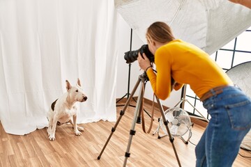 Poster - Young caucasian woman photographer making photo to dog at photography studio