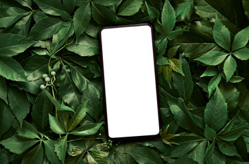 white empty mobile phone screen template mockup for product app ads concept on green leaves nature o