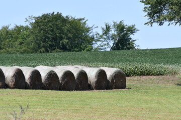 Sticker - Hay Bales by a Soybean Field