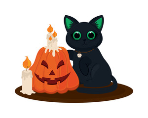 Poster - halloween cat and pumpkin