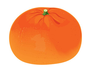 Canvas Print - tangerine fruit realistic