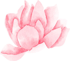  pink lotus flower, watercolor illustration, hand drawing, floral wedding