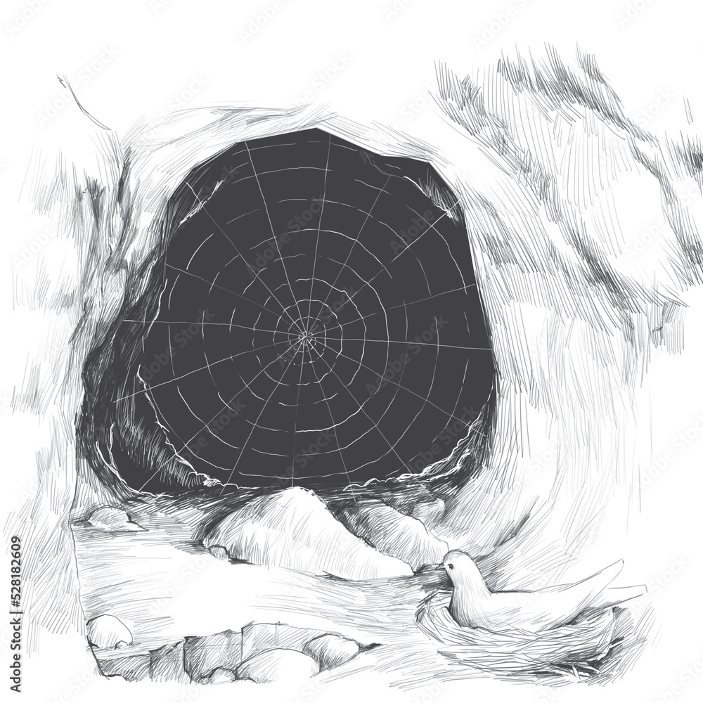 Charcoal drawing of a pigeon in front of a spider web covered cave entrance. Cave Hira and the pigeon standing and the spider