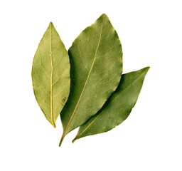 bay leaf on transporent background,
