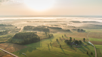 Wall Mural - Aerial view of fields and forests on a sunny, foggy summer morning, Latvia.