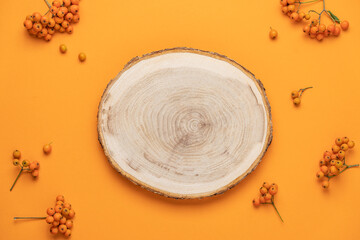 Wood podium saw cut of tree on orange background with  autumn rowan berries. Top view  showcase, product, promotion sale, presentation, beauty cosmetic. Wooden stand empty. Minimal autumn composition