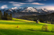 A view of the Tatra Mountains, meadows, pastures, from Polana Szymkówka, near Głodówka. Spring, Poland. Widok na Tatry, góry, łąki, hale, z Polany Szymkówka, koło Głodówki. Wiosna, Poland, Podhale
