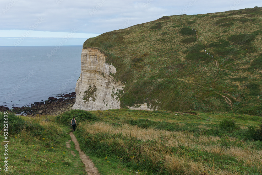 Coastal hiking trail at the cliffs of the Alabaster coast through green ...