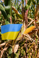 Sticker - agriculture culture cereales recolte bio environnement maïs Ukraine ukrainien