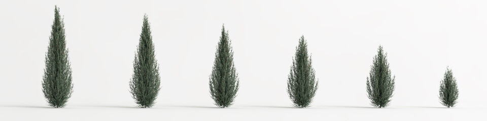 3d illustration of set juniperus scopulorum wichita blue tree isolated on white background