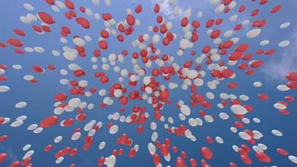 Wall Mural - Color Balloons rising up to the sky 3D illustration.