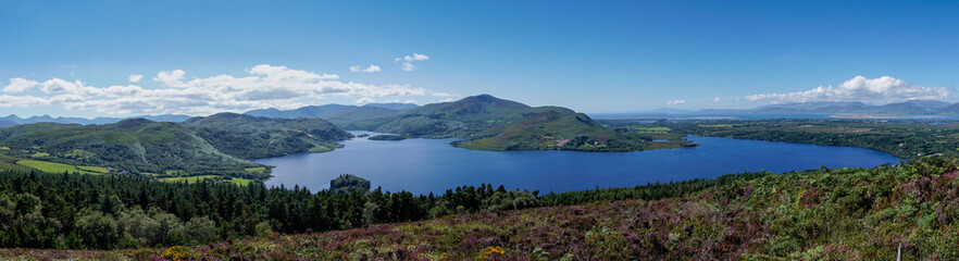 Canvas Print - panroama landscape of colorful summer heath with a view of Caragh Lake and the mountains of the Dingle Peninusla in County Kerry