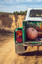 Pumpkin And Sea Buckthorn Lie In The Trailer Of A Car Standing On A Sandy Road