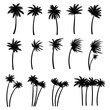 Palm tree silhouette set collection vector illustration