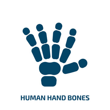 human hand bones vector icon. human hand bones, human, bone filled icons from flat body parts concept. Isolated black glyph icon, vector illustration symbol element for web design and mobile apps