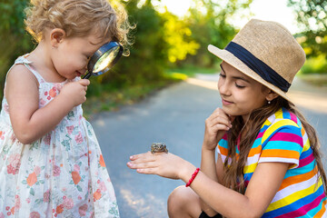 Wall Mural - The child is playing with the frog. Selective focus.