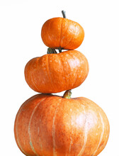 Tower Of Pumpkins Isolated On White Background