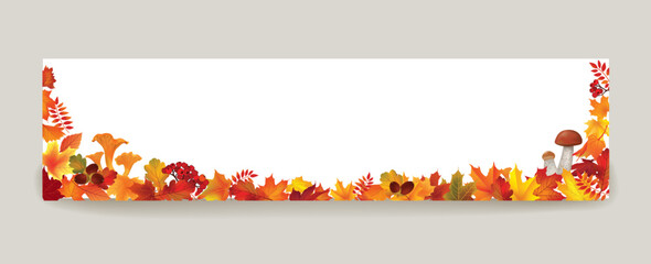 Wall Mural - Autumn leaves background. Season floral horizontal wallpaper. Fall leaf nature banner sale design