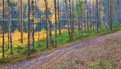 Wall Mural - sunset in forest near small lake