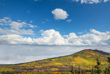 Canvas Print - Autumn mountains