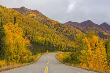 Canvas Print - Autumn road