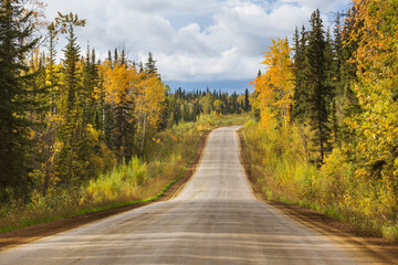 Poster - Autumn road