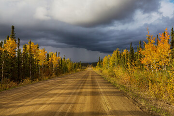 Poster - Autumn road