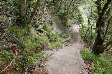 World War 2 relics at Chichi jima Bonin island, Ogasawara.