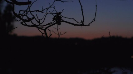Wall Mural - Lockdown Scenic View Of Silhouette Mountains Against Sky At Dusk - Bellevue, Washington