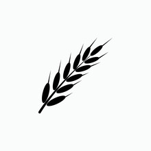 Wheat Agriculture Icon - Vector, Sign And Symbol For Design, Presentation, Website Or Apps Elements.   