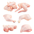 © Hihitetlin - Isolated whole raw chicken parts collage png