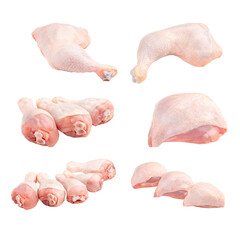 Wall Mural - Isolated whole raw chicken parts collage png