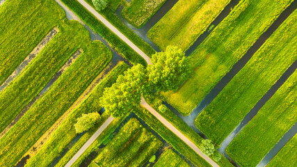 Aerial view of green field. Netherlands. Canals with water for agriculture. Fields and meadows. Landscape from a drone.