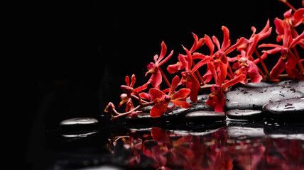 Wall Mural - spa still life of with lying on 
branch orchid and zen black stones wet background
