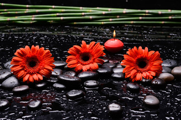 Wall Mural - Still life of with 
Three red flower ,candle, bamboo grove and zen black stones ,green palm wet background
