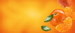 mandarines with slices and leaves flying on orange background